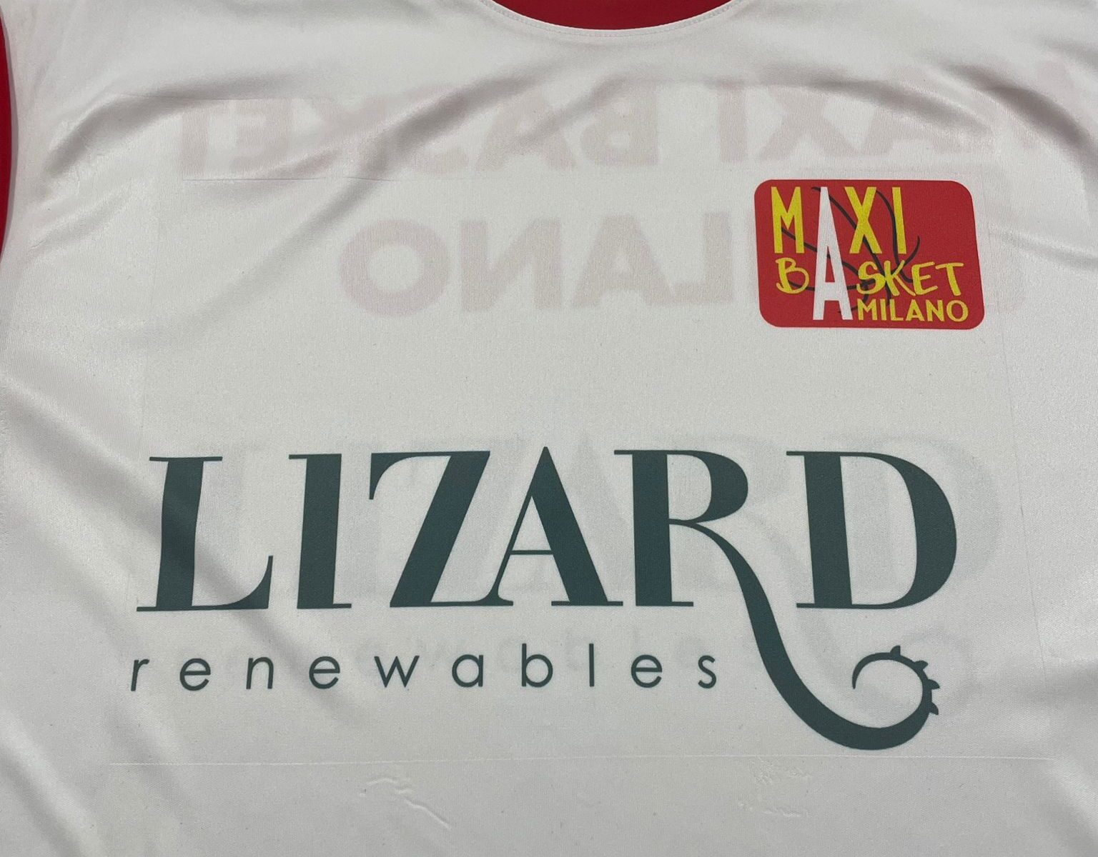 Lizard